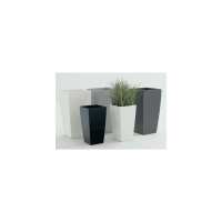 Read Evergreen Direct Reviews
